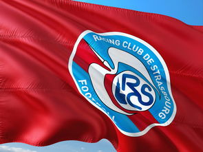 开云体育入口-帕尔梅拉斯攻防转换加快，比赛节奏全面提升