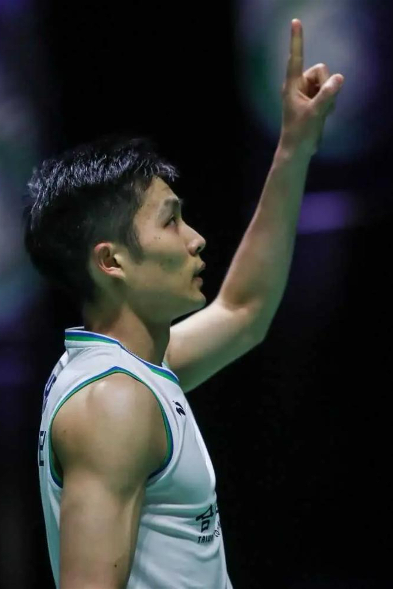 关于法国羽毛球队血洗印尼羽毛球队，安赛龙高光表现的信息