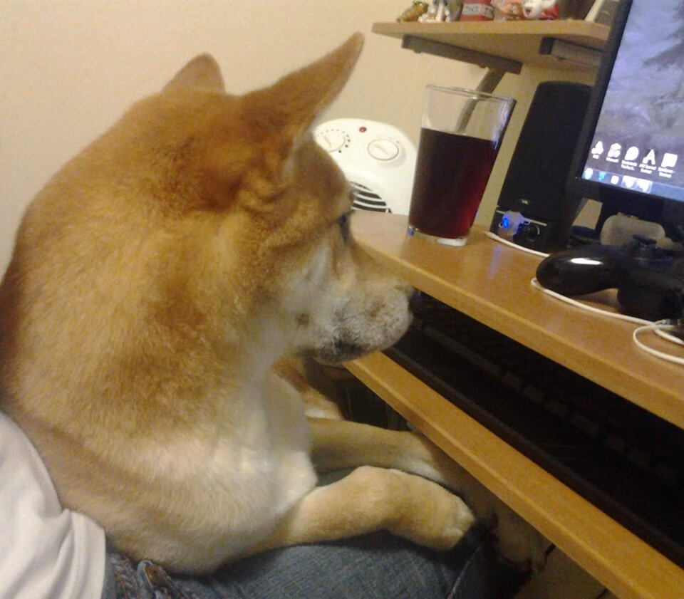 超越23,当枪手命悬一线,步行者已扼住命运的咽喉