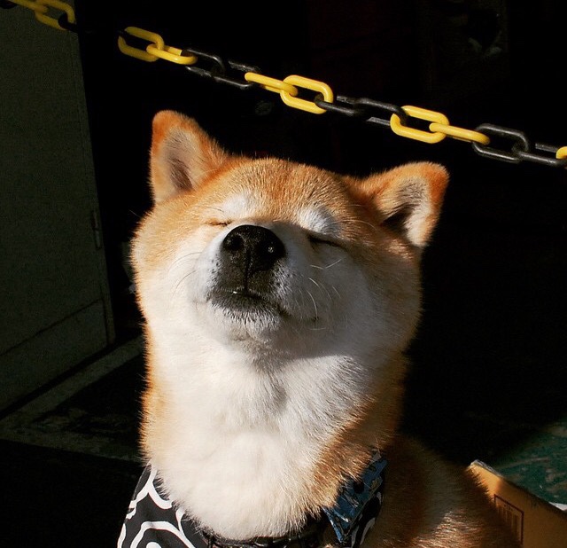 开云APP-NBA季后赛之夜，阿圭罗成为胜负手