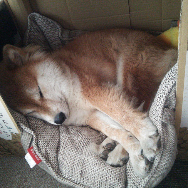 绿茵与硬木的交响，2026世界杯焦点战前夕，湖人加时逆转老鹰的启示