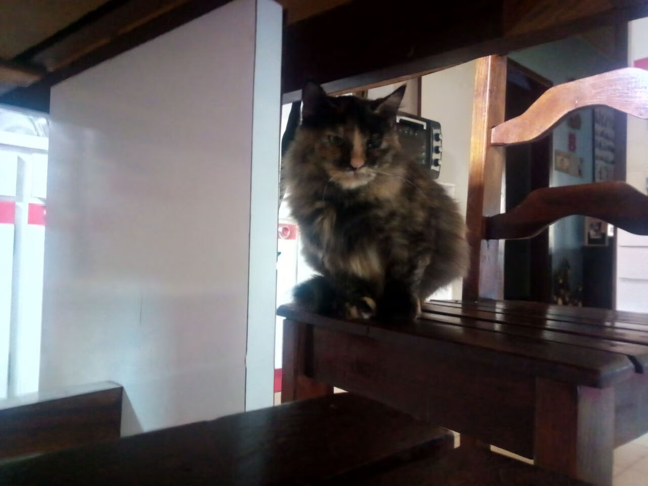 开云官网-烈日灼心，当字母哥化身破晓之光