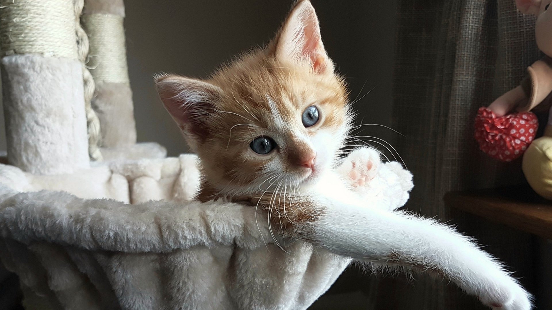 开云体育登录-王者征途，当国王用开拓者的方式，碾过开拓者的梦想