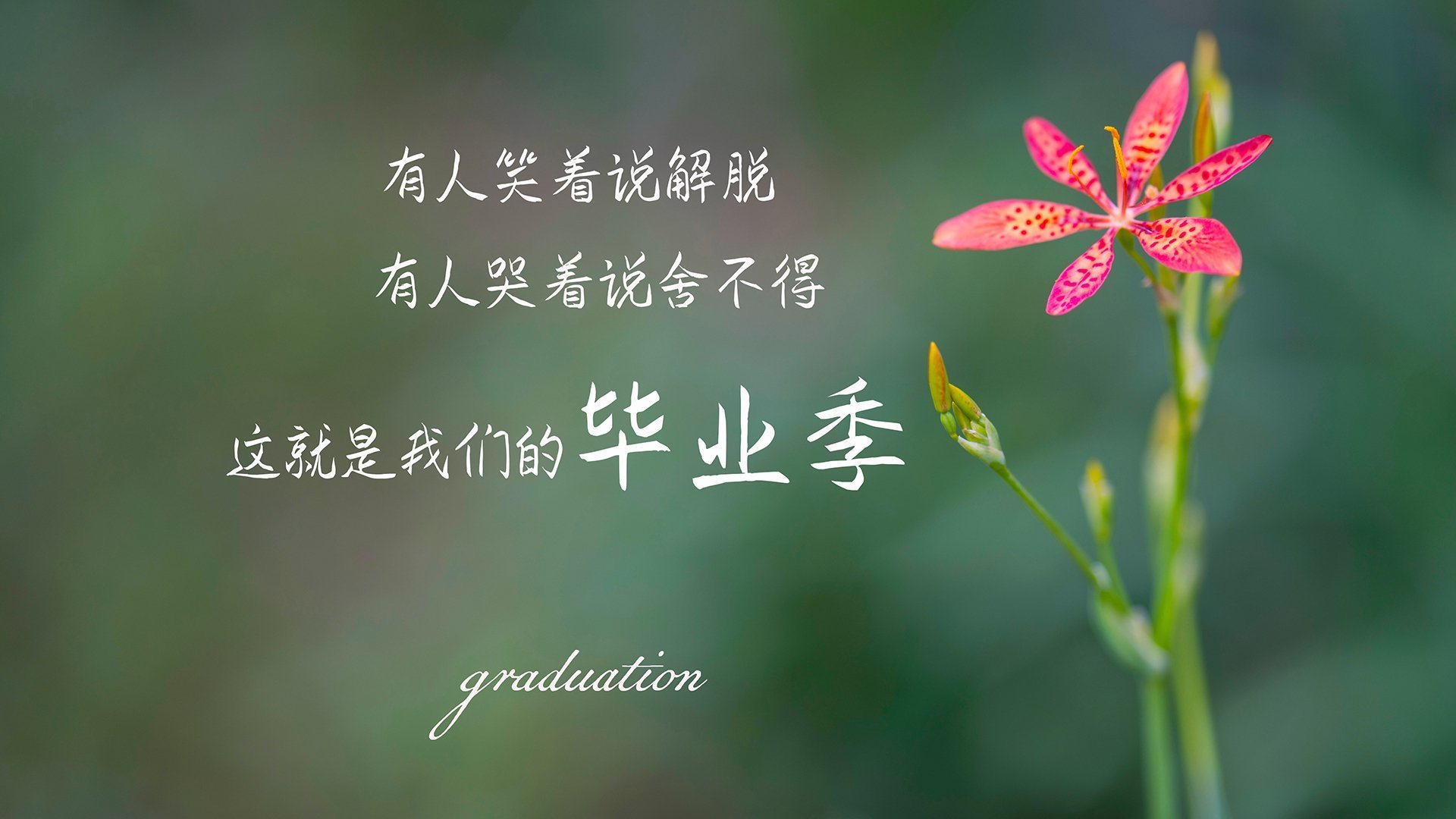 绿茵魔方，当曼联绝杀阿根廷，C罗的杀伤力穿透了次元壁