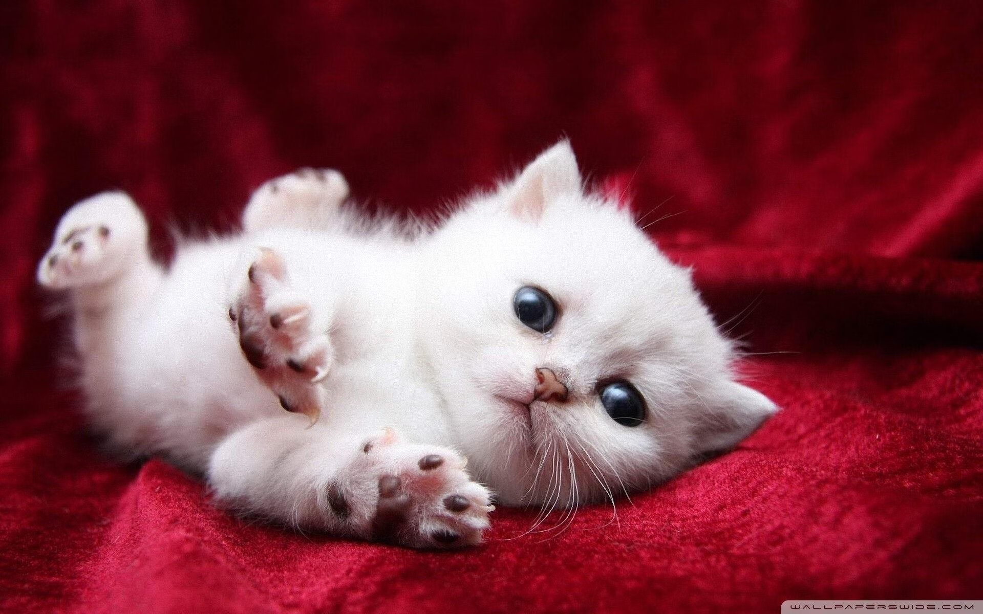 开云平台-NBA总决赛焦点战，哥伦比亚末节逆袭，强势带走丹麦胜利