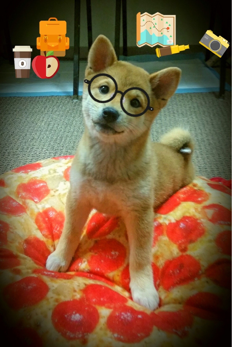 速度与冰火，卡塔尔与加拿大的角力，在F1新赛季首战炸响惊雷