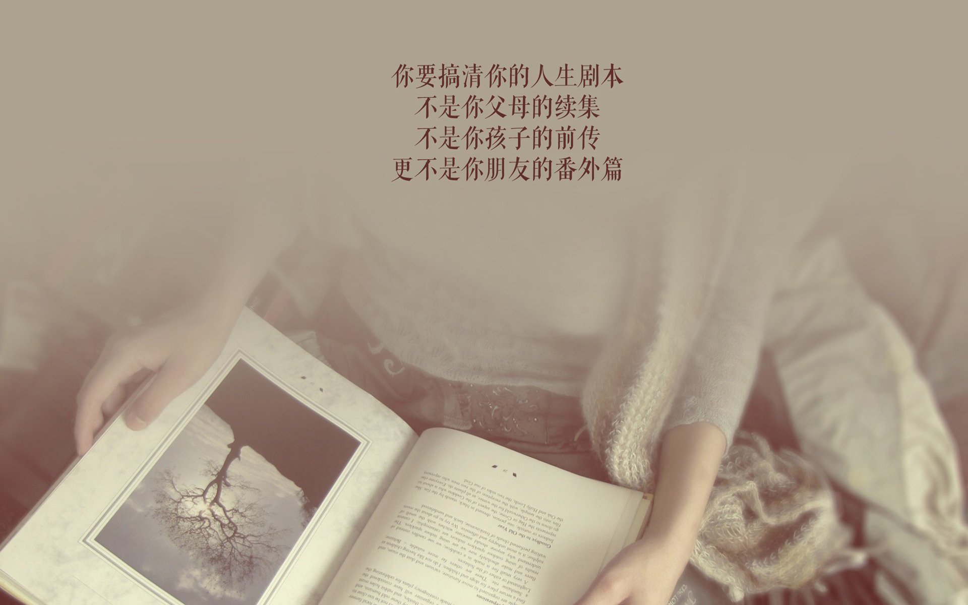 热血与荣耀,2026世界杯G组强强对话,韩国绝杀意大利,罗德里戈闪耀全场
